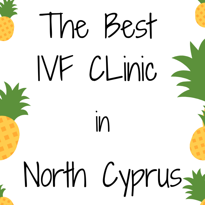 How to Choose the Best Fertility Clinic in North Cyprus in 2023